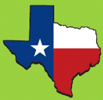 county property tax loan